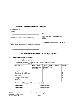 Final Non Parent Custody Order  Form