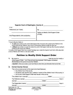 AMENDING CHANGING YOUR PETITION  Form