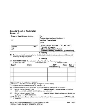 Felony Judgment and Sentence Jail One Year or Less CR  Form