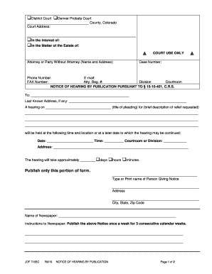 Conservatorship of an AdultThe Law Firm of Bruce a Danford, LLC  Form