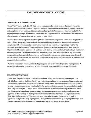 MISDEMEANOR CONVICTIONS  Form