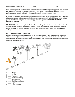 Cladogram Worksheet with Answers  Form