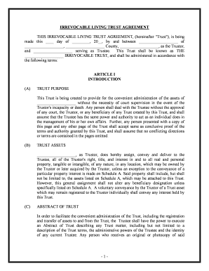 Fill and Sign the Declaration of Trust PDF Form