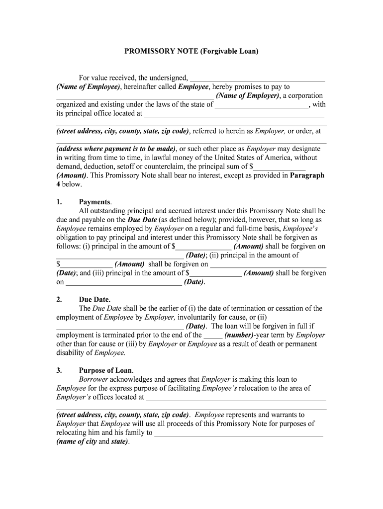 Promissory Note Loan Agreement  Form