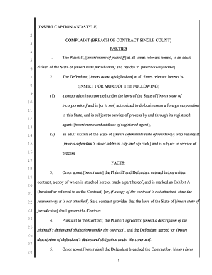 Actual Damages  Form