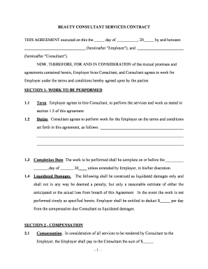 Consultant Self Employed  Form