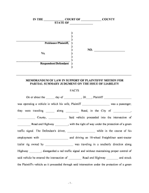 Law Summary Judgment  Form