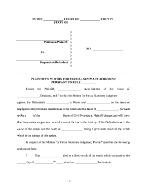 Motion Summary Judgment Sample  Form