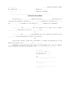 Louisiana Custody Form