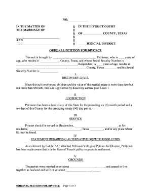 Texas Petition Form