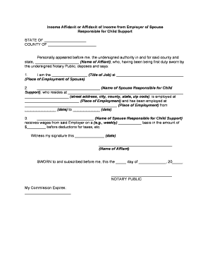 Affidavit Support Form