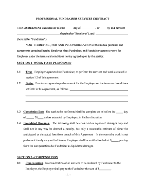 Professional Contract  Form