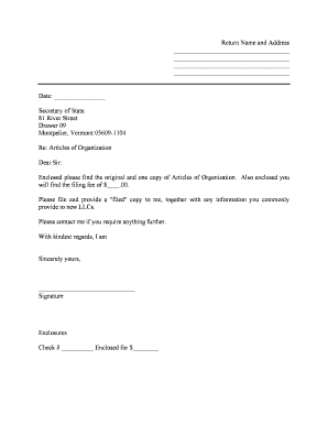 Vt Llc  Form