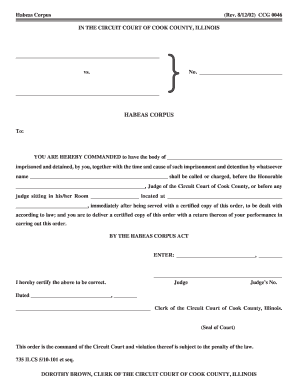 Article X Habeas Corpus 735 ILCS 5 Code of Civil Procedure  Form