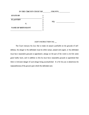 Criminal Jury Instructions  Form