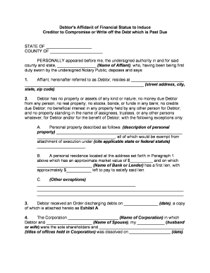 Creditor Debt  Form