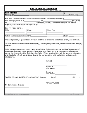 Nm Odometer Statement  Form