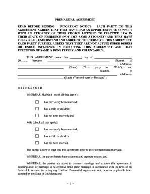 Prenuptial Premarital Statements Agreement  Form
