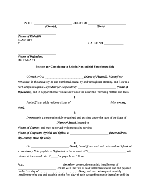 Petition Declaratory Relief  Form