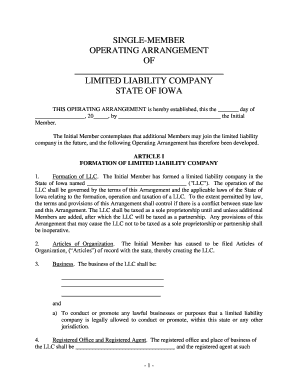 Ia Llc  Form