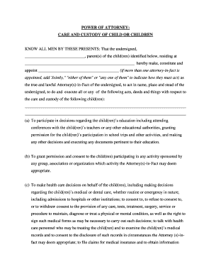 Illinois Custody  Form