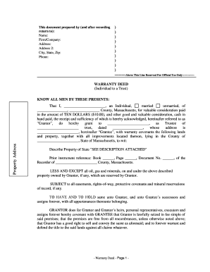 Massachusetts Trust  Form