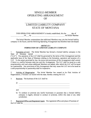 Mt Llc  Form