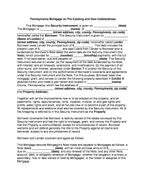 Indebtedness  Form