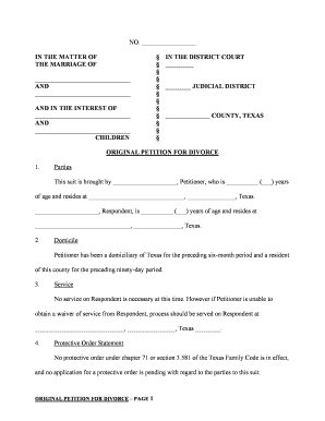Petition Divorce Court  Form