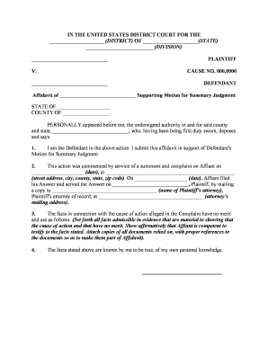 Summary Judgment  Form