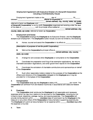 Executive Director Nonprofit  Form