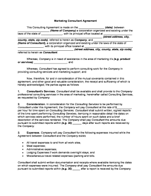 Consultant Self Employed  Form