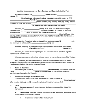 Joint Venture Jv  Form