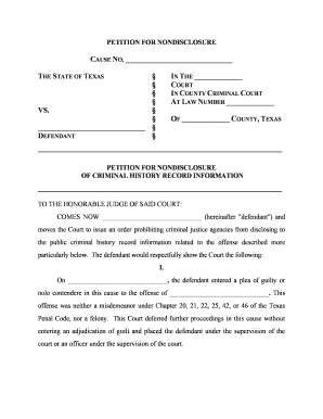 Texas Criminal Records  Form