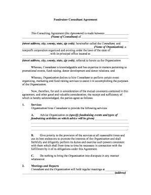 Fill and Sign the Consultant Agreement Form