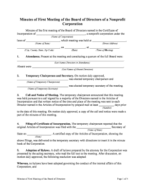 Minutes Board Directors Sample  Form