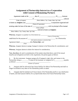 Consent Partners Form