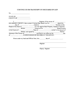 Bail Bond Criminal  Form