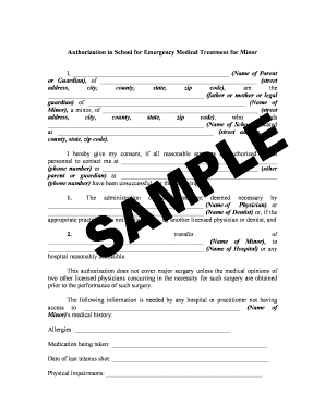 Guardianship Authorization Home Page the Superior  Form
