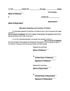 Joint Custody Children  Form