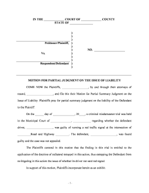 Motion Summary Judgment  Form