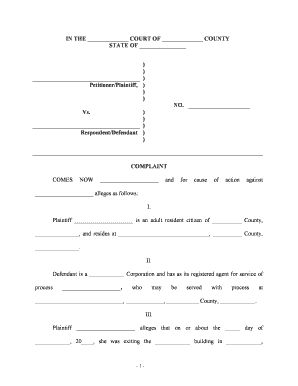 Complaint Court Form