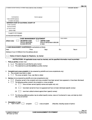 California Case Management Statement  Form