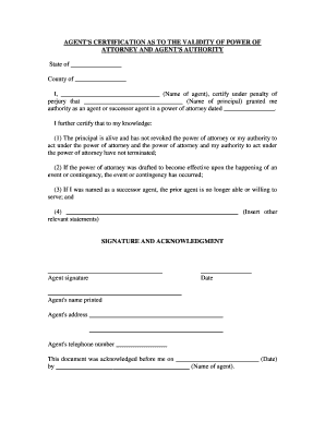 Validity Power Attorney  Form