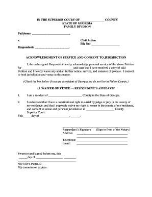 In the SUPERIOR COURT of HALL COUNTY STATE of GEORGIA  Form