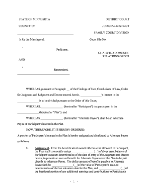 Sample Domestic Relations Order to Divide a Minnesota  Form