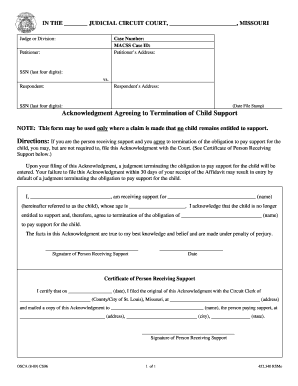 CS 96 Acknowledgment Agreeing to Termination of Child Supp  Form