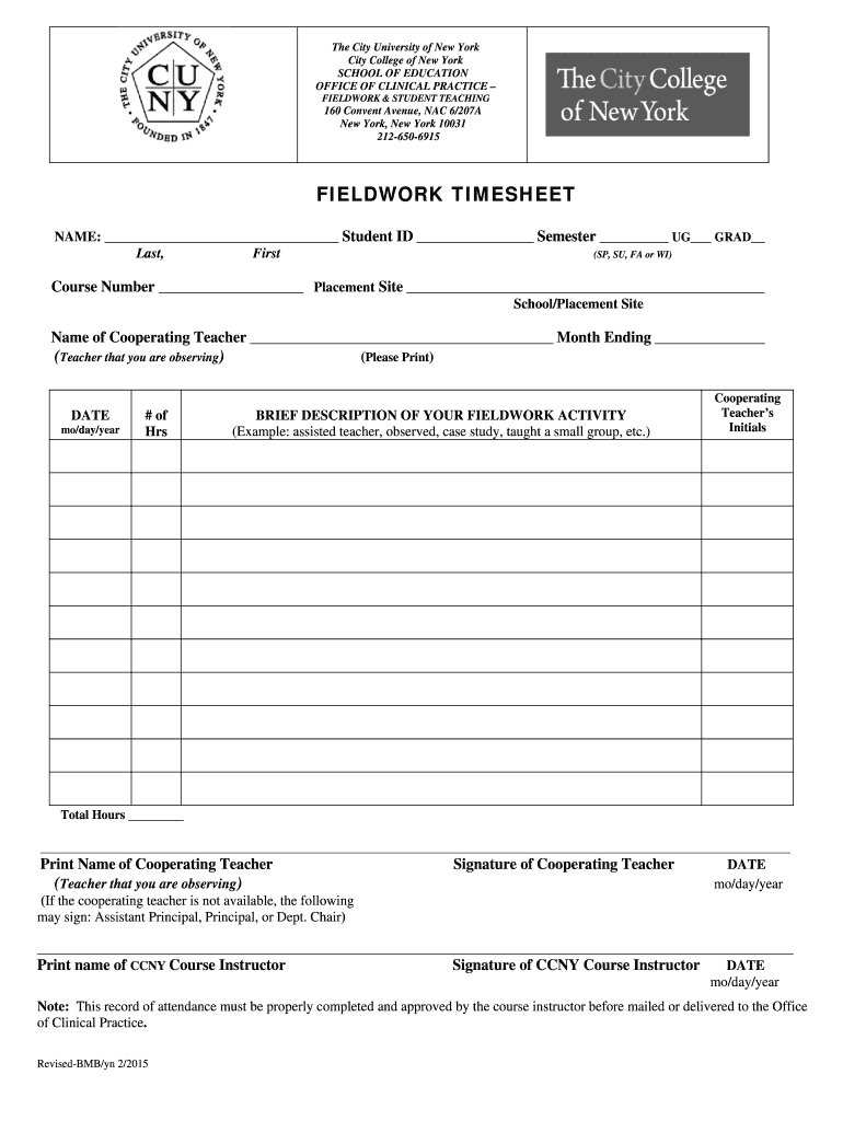 Ccny Fieldwork Timesheet  Form