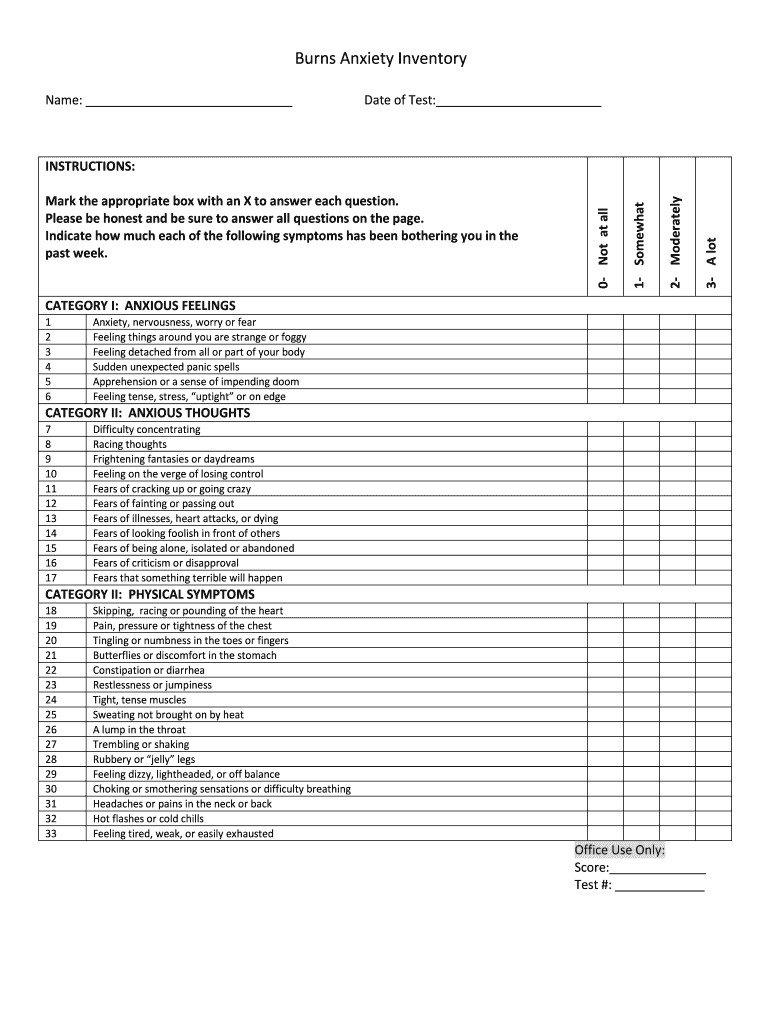 Burns Anxiety Inventory  Form