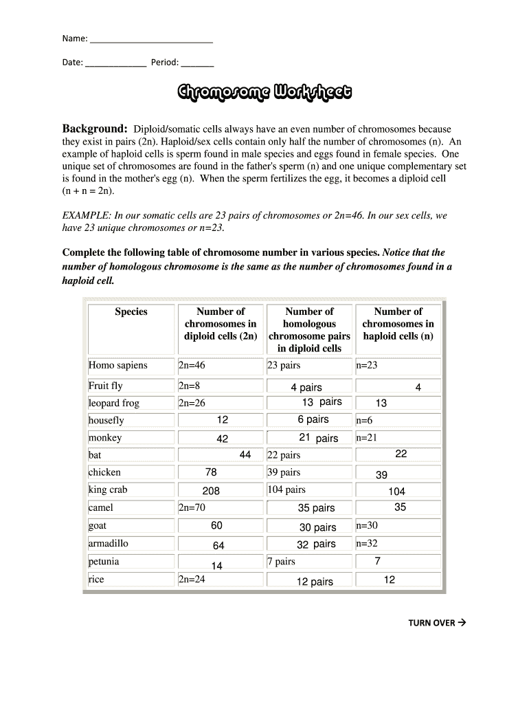 Chromosome Worksheet  Form